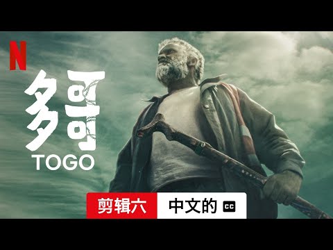 多哥 (剪辑六配有字幕) | 中文的預告片 | Netflix