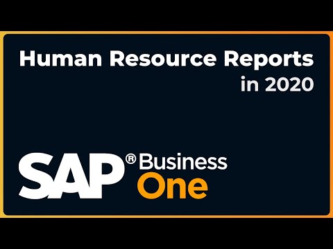 An Overview of Human Resource  Reporting Options | SAP Business One 2020