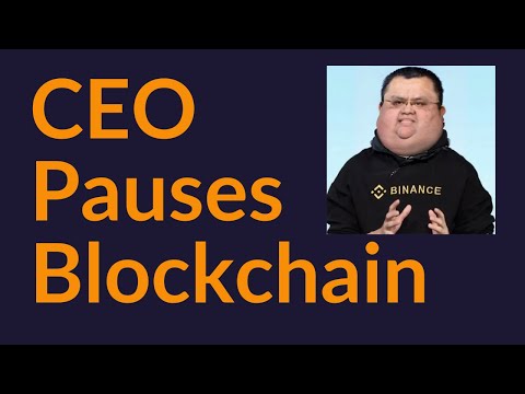 CEO Pauses "Decentralized" Blockchain (BSC)