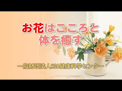 お花はこころと体を癒す