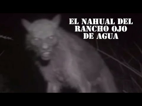 "El Nahual del rancho ojo de agua" Y "El perro que sonríe desde la ventana"