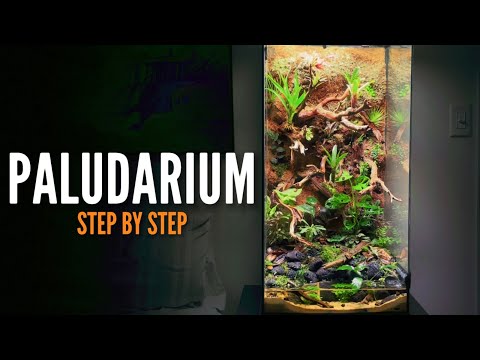 How to build a Paludarium (Vivarium)