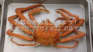 鳥取の地魚を食べよう！「松葉がに（ズワイガニ）のゆで方」