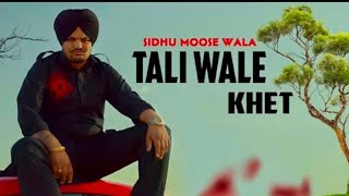 #Tali #Wale #Khet #Sidhu #Moose #Wala (Official Video) Sidhu Moose Wala #New #Song |Siva Jatt Da new