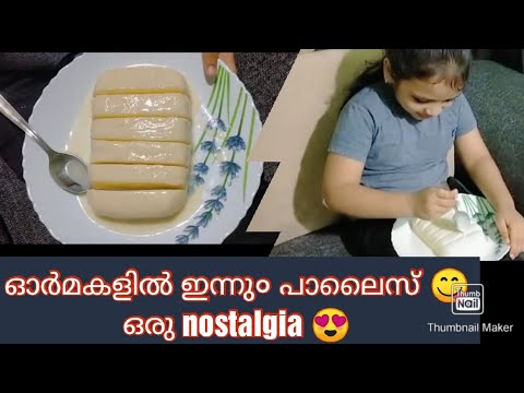 പാൽ ഐസ് വീട്ടിൽ തന്നെ ഉണ്ടാക്കാം😋 (how to make milk ice)