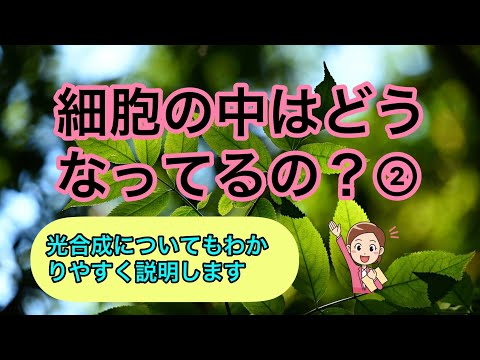 細胞の中はどうなってるの？②（【高校生物】感染症って自然災害なの？⑤）