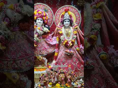 Hare Krishna ll 🙏🏻 #iskcon #radhakrishna #shortvideo #radha @KrishnBhakt12