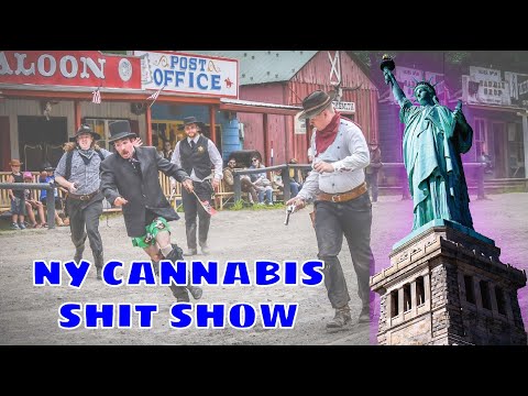 Crackdown on Pot Shops in NY