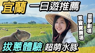 宜蘭親子景點推薦！三星鄉拔蔥去～全新小動物景點，超萌水豚｜星夢森林劇場、蔥寶寶體驗農場