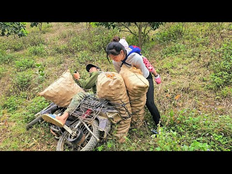 17 year old single mother:Picking banana flowers-Help people in accidents-build a bathroom