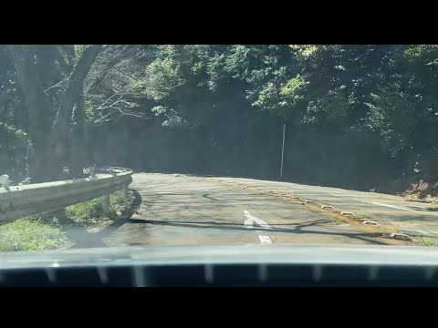 四王寺県民の森/下り/晴れ/昼