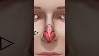 How do nose rhinoplasty|Nursing network|#rhinoplasty #facts