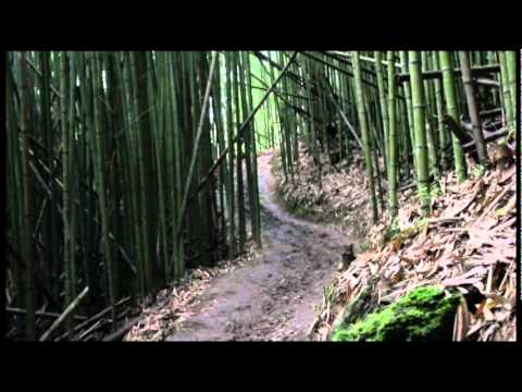 生命的山林~司馬庫斯 Forest of lives--Smangus (with chinese and english subtitle)