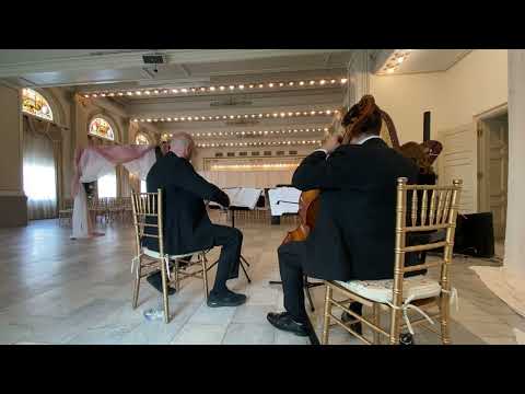 Here Comes The Sun - harp, violin and cello trio