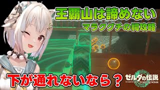 王覇山は諦めない、難しいほど燃える葉山※ネタバレあり【ゼルダの伝説 ティアーズ オブ ザ キングダム】【葉山舞鈴/にじさんじ】