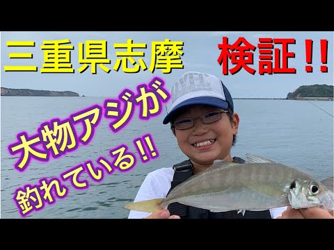 [小学生]三重県志摩で良型アジが釣れている！！と聞いて検証に行ってきました～！！