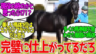 エイシンフラッシュ ← 17歳でこの馬体よ…に対するみんなの反応！【競馬 の反応集】