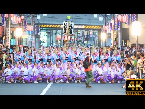 Kanagawa Awa Dance 2023 uncut version in Japan