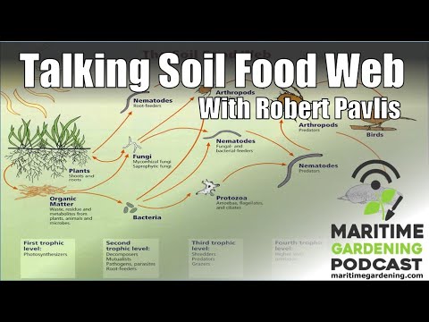 Talking Soil Food Web Myths with Robert Pavlis