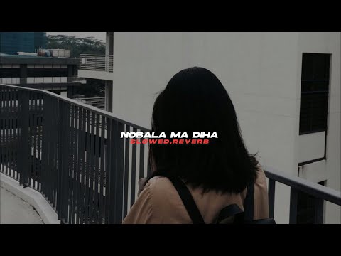 Nobala Ma Diha (slowed+reverb)