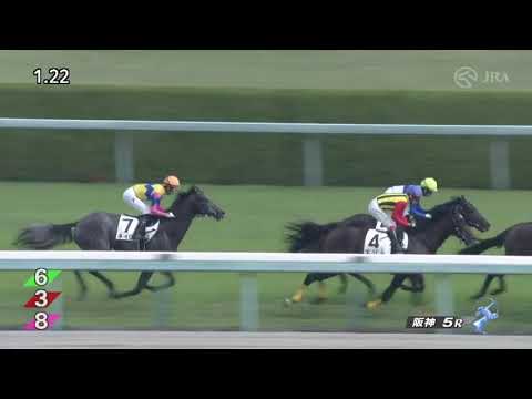 2022/10/16　ルモンドブリエ　新馬戦