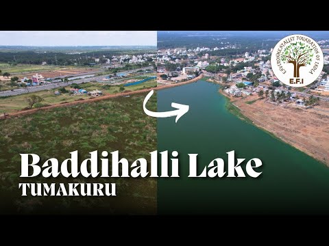 EFI's | Baddihalli Lake | Tumakuru