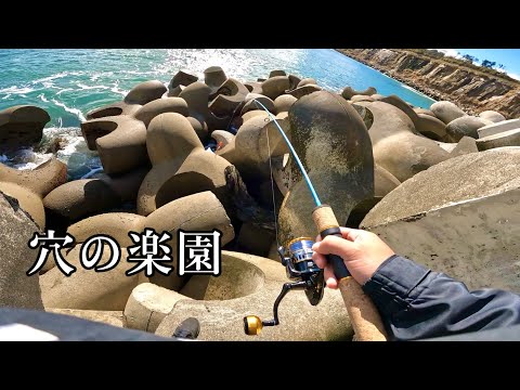 【穴釣り】高級根魚が大爆釣。これを見ればアナタも穴釣りマスター。