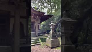 【駒女インターンシップ生作成】稲城市観光PR動画「神社仏閣編②」#Shorts