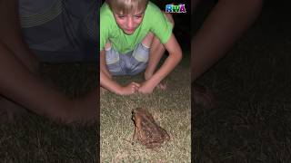 😱 WATCH OUT! Giant toad prank scares cameraman dad