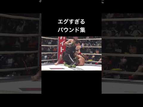 恐ろしいパウンド....【RIZIN】#shorts