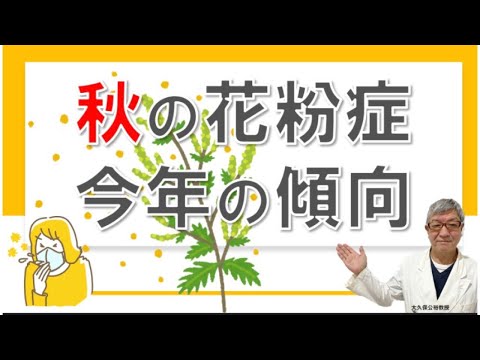 秋の花粉症の特徴や今年の傾向について、大久保公裕先生がやさしく解説