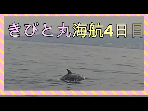 きびと丸海航＃5 伊豆大島近くでイルカに遭遇　ラストスパート最終回