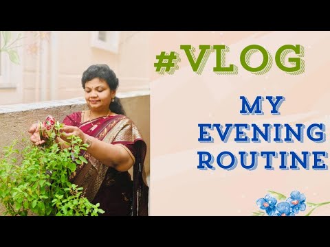 #vlog Evening routine in a day in my Life||DIML||shopping||cooking||pooja||andhra vantalu||