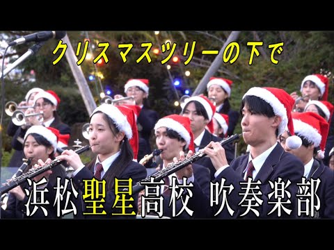 2024.11.27 浜松聖星高校 吹奏楽部　クリスマスツリーの下で