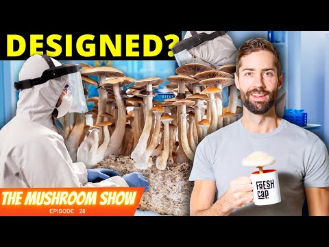 Will New Genetic Discoveries Lead To "Designer Shrooms"? (The Mushroom Show Episode 28)