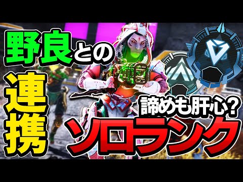 【Apex】順位？キルポ？野良ランクするならどうする？【エーペックスレジェンズ】