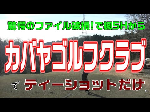 マジでカバがお出迎え カバヤゴルフクラブでティーショットだけ