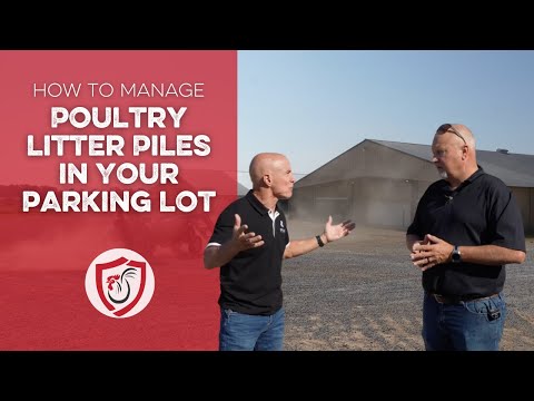 How to Manage Poultry Litter Piles in Your Parking Lot