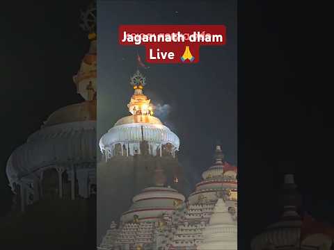 Jagannath dham Live on 30th dec, 2024❤️❤️🙏 || #chardham #shyam #puri