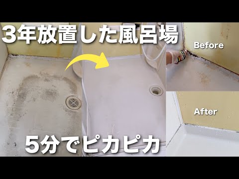 【超汚い】ゴミ屋敷の友達の家を掃除してみた【大掃除】