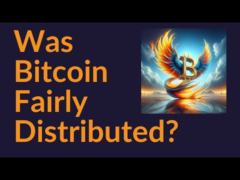 Was Bitcoin Fairly Distributed?