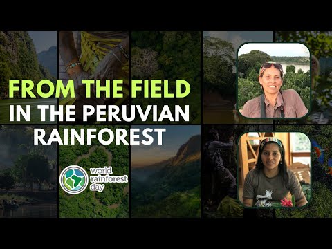 From the Field in the Peruvian Rainforest | World Rainforest Day Summit 2022