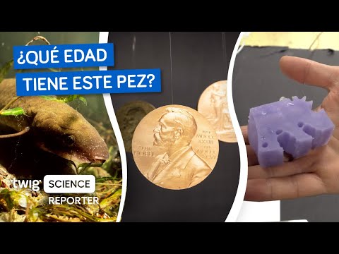 ¡Adivinen qué edad tiene este pez!