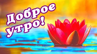 🌞 ДОБРОГО УТРА / ДОБРОЕ УТРО / С ДОБРЫМ УТРОМ / ДОБРОГО УТРА ЛЮБИМОЙ / ДОБРОЕ УТРО КАРТИНКИ