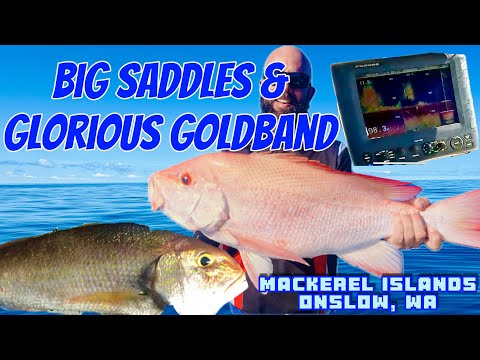 Part 2: Big Saddles & Glorious Goldband Snapper. Mackerel Islands, Western Australia