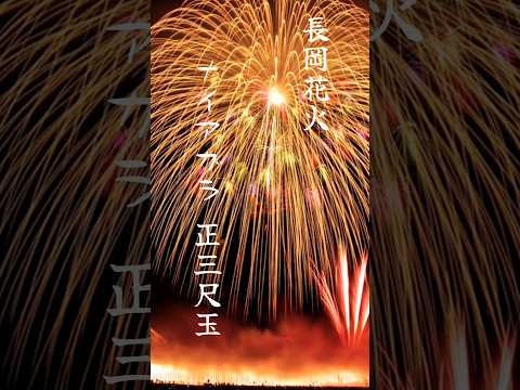 長岡花火。地上が燃えてる！？「ナイアガラ×正三尺玉」新潟県長岡市 #shorts #fireworks #花火大会