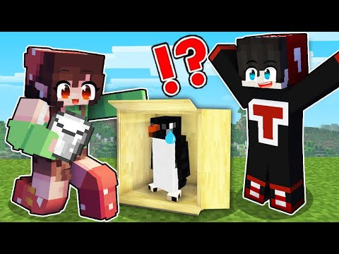 Helping A Lost Baby Penguin In Minecraft! ( Tagalog )