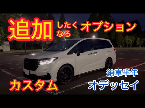 【オデッセイ】納車半年追加したくなるオプションややりたいカスタム！