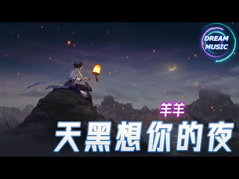 羊羊《天黑想你的夜》『最美青春已錯等了誰』【動態歌詞】