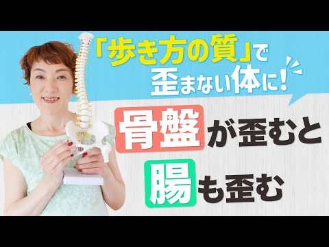 骨盤が歪むと腸も歪む  骨盤を歪ませない　「歩き方の質」を変えること